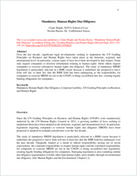 Bright Bueno - Mandatory Human Rights Due Diligence - AM
